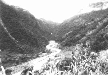 Nepal Forestry Rangeland Biodiversity